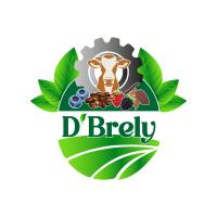 D´BRELY S.A.C