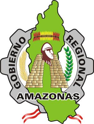 GOBIERNO REGIONAL DE AMAZONAS - HOSPITAL DE APOYO CHACHAPOYAS