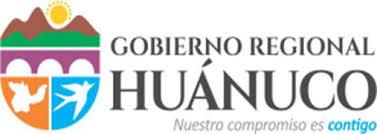 GOBIERNO REGIONAL DE HUANUCO - RED DE SALUD HUAMALIES